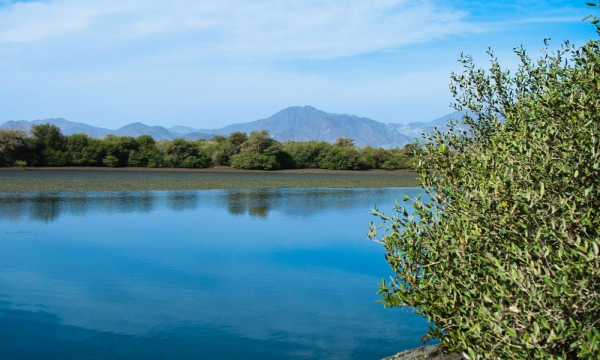 A new outdoor adventure festival is coming to Sharja's Kalba